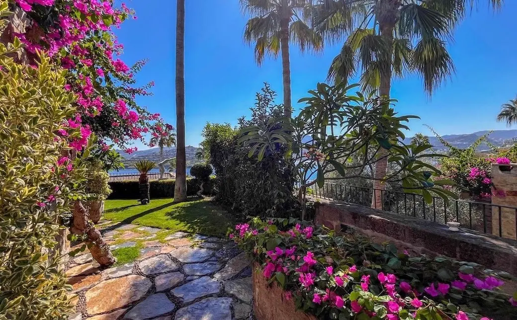 Mature garden